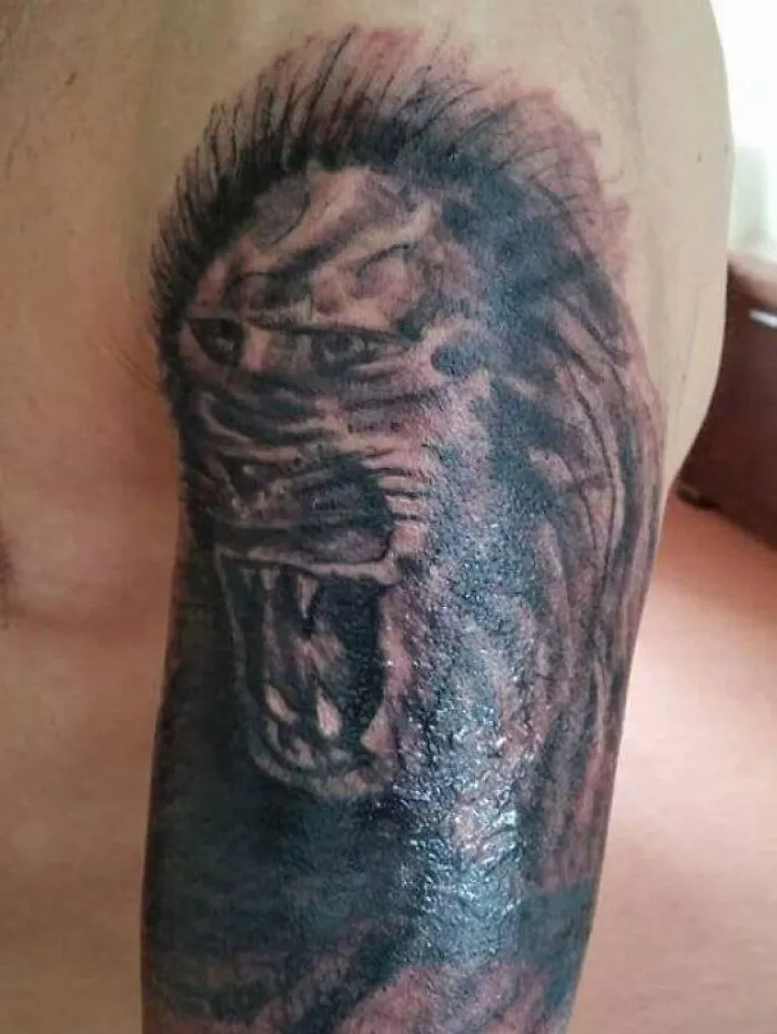 Could This Be A Lion?