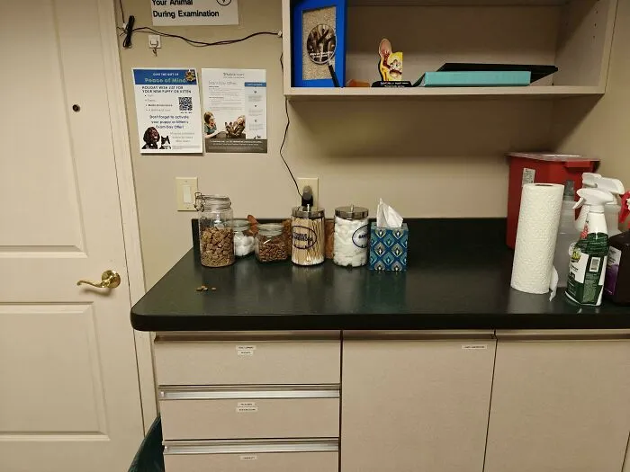 Uhoh, I Visited The Vet Without A Cat!