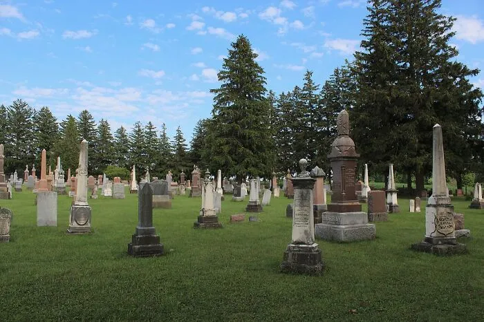 Cemetery with old tombstones and tall pine trees under a blue sky, a spooky destination for Halloween visits.