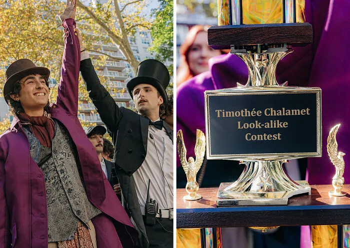 The Timothée Chalamet Chaos