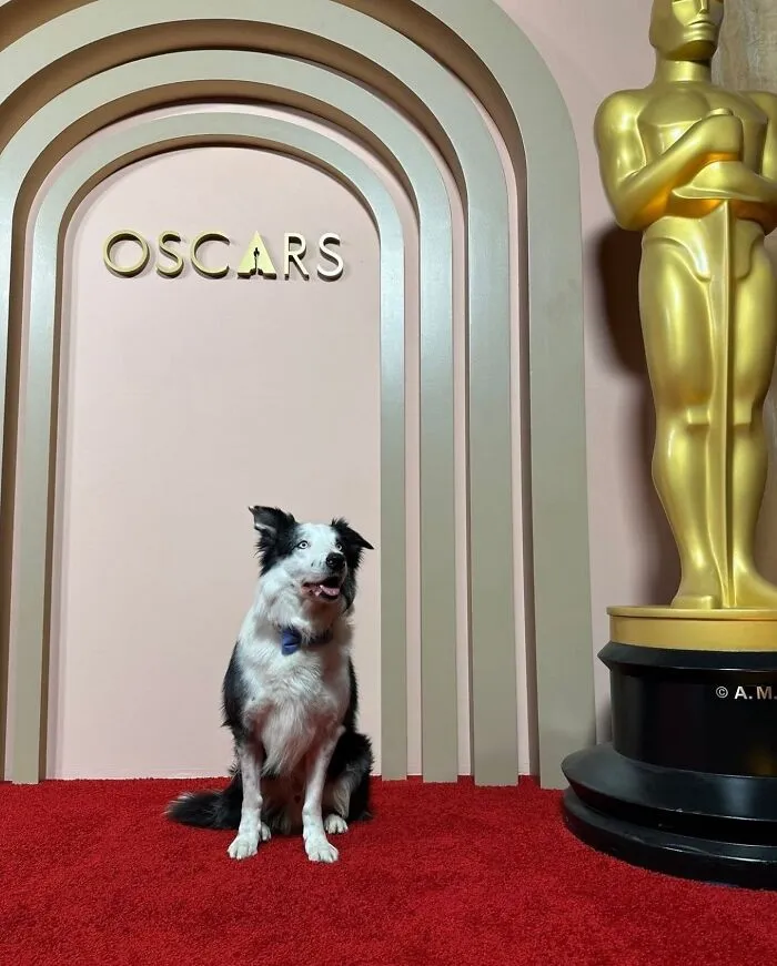 Messi At The Oscars