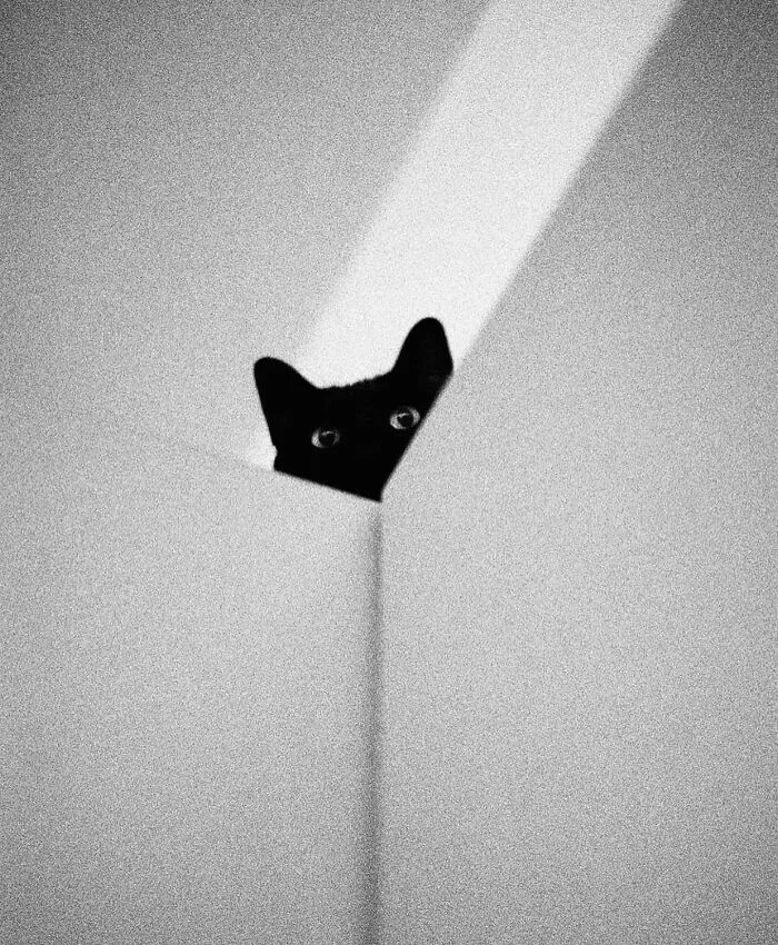 Photo By Jilbertolo