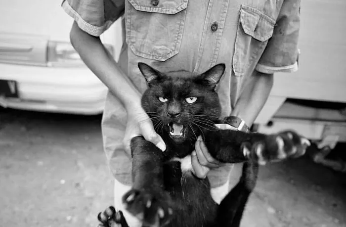 Photo By Agus Ibrahim
