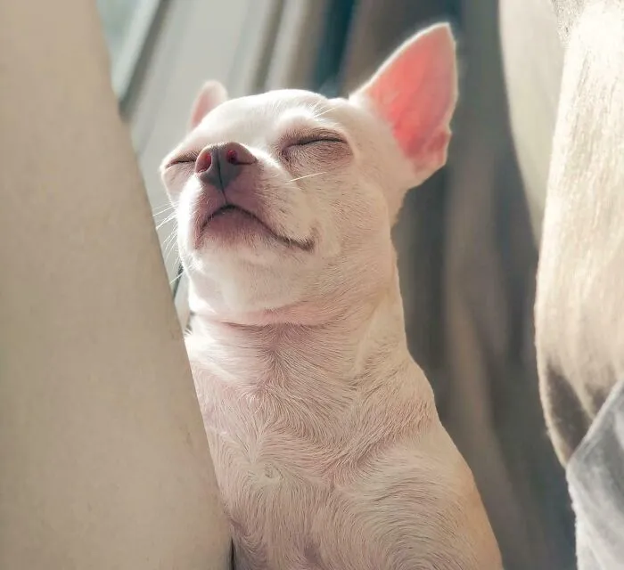 Somewhere Between Sunbathing And Daydreaming