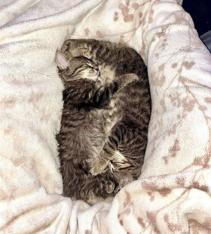 Meet Hazel & Hunter — Siblings Who Lost Their Mom (We Found Them), But Never Lost Each Other