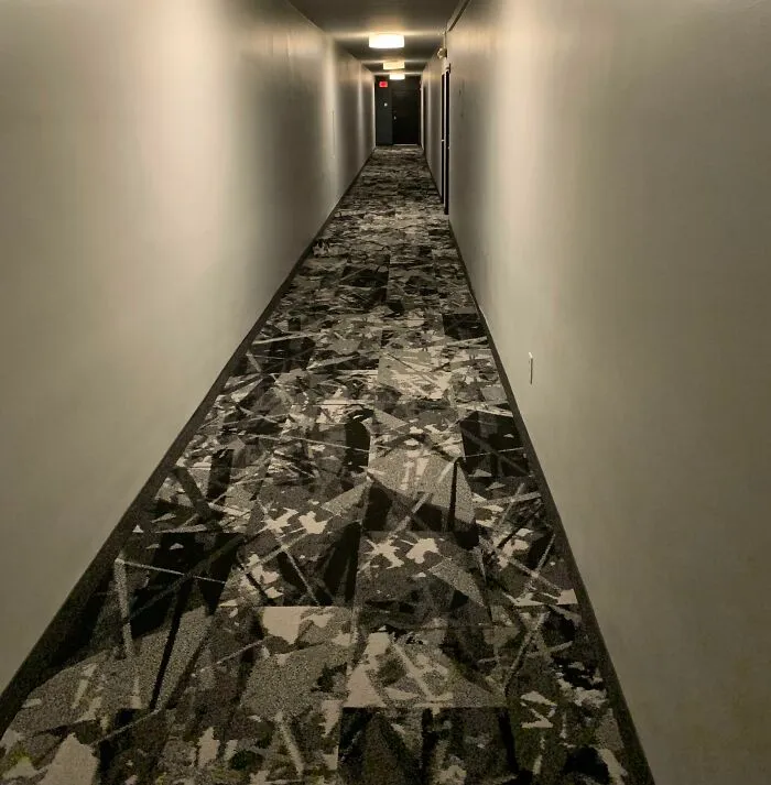 My Cat Escaped…and Gave Me A Heart Attack