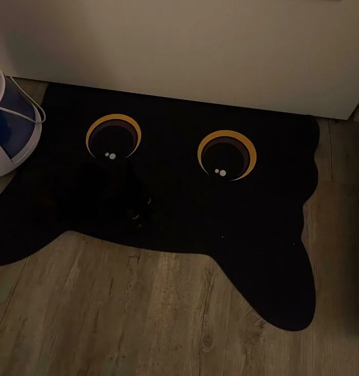 So My Girlfriend Got Us A New Rug