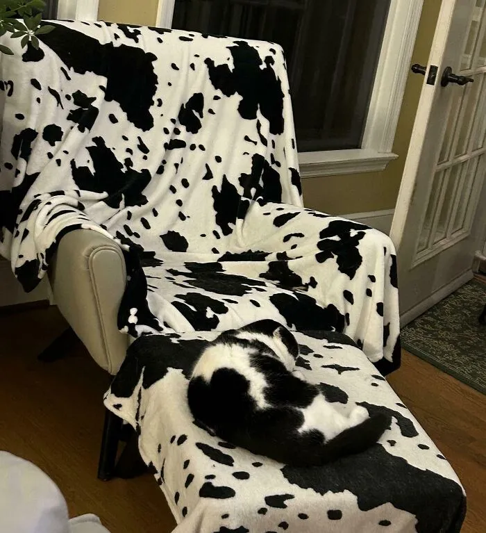 Cloak Of Invisibility Almost Complete