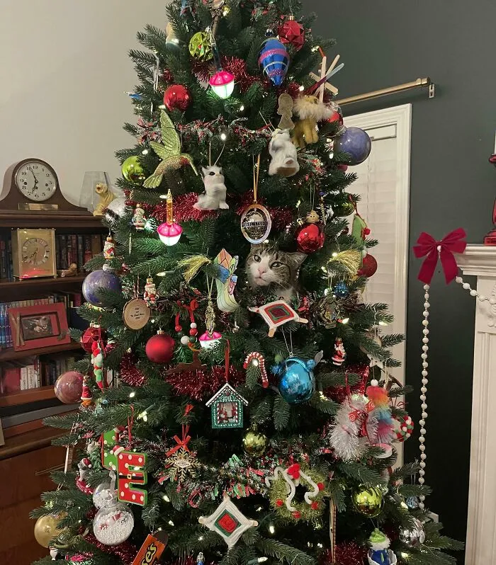 There Are No Cats In My Christmas Tree. Only Ornaments