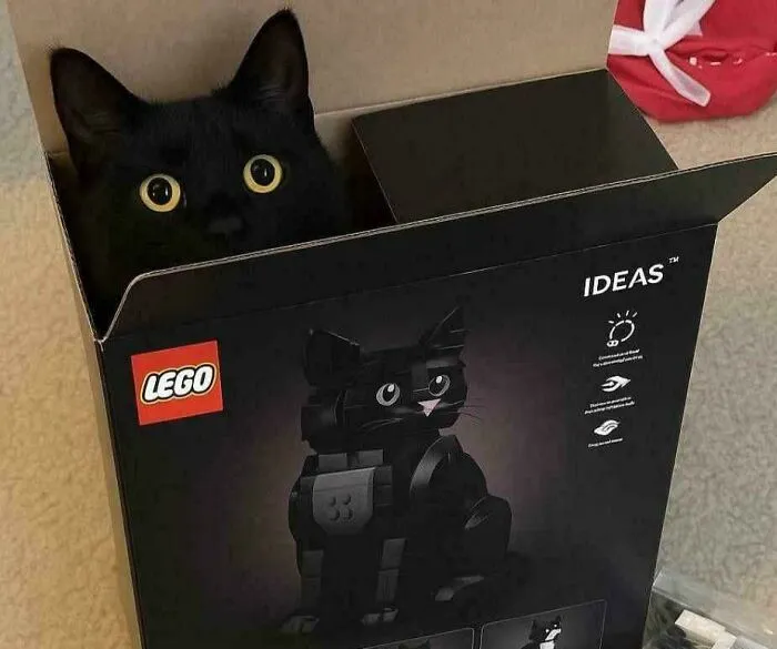 If I Fits, I Am The LEGO Cat