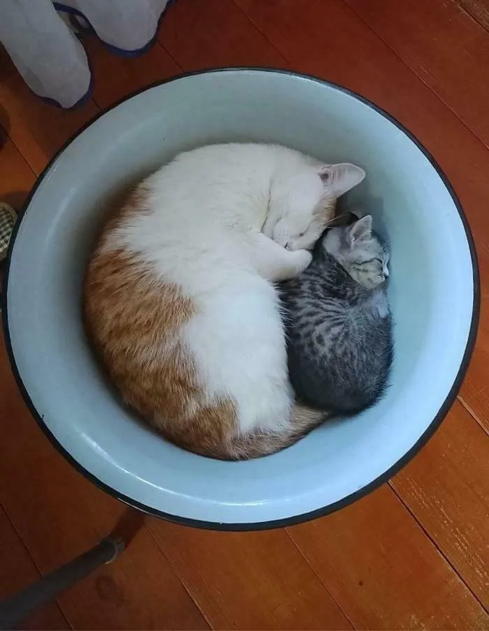 If I Fits, We Both Fits