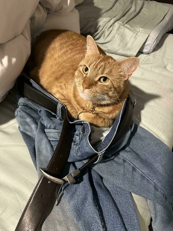 She’s In My Husbands Pants More Than I Am 😂