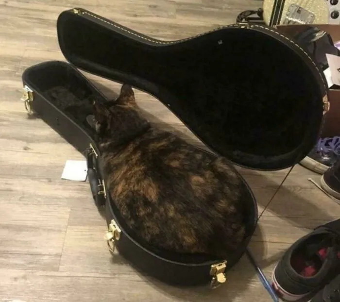 Guitar Boi