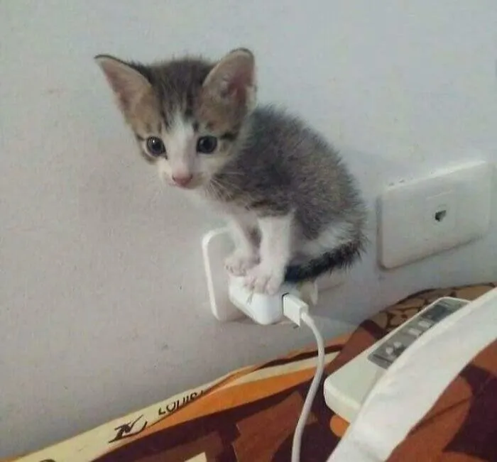 Tiny Mini Fits