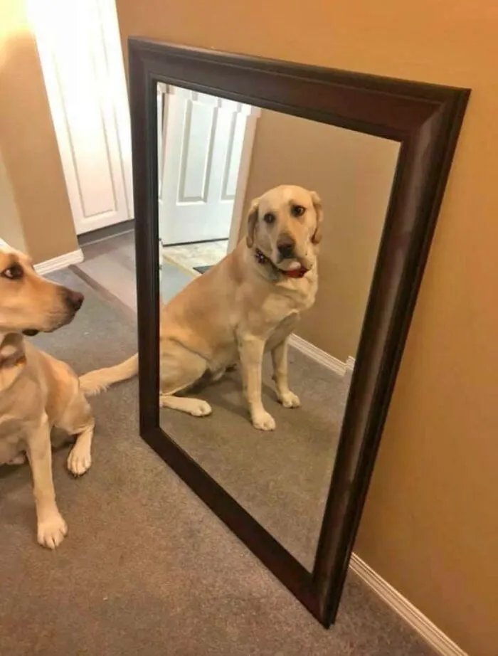 Contemplating Existence