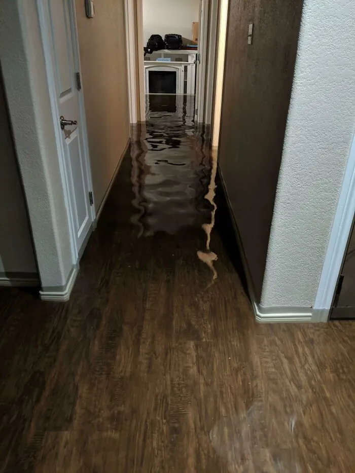 Pasillo interior de casa con piso inundado, mostrando cómo los días horribles pueden empeorar con problemas inesperados.