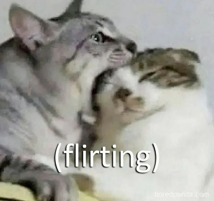 50 Random And Unhinged Memes From “Posts That Hit Different At 3AM”