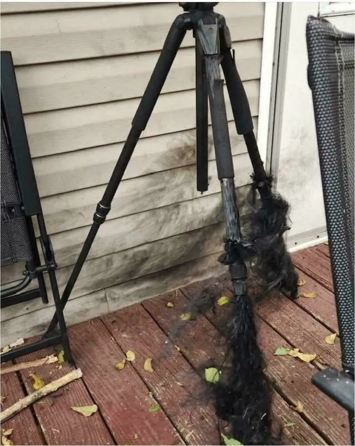 Trípode cubierto de pelaje negro encontrado en un lugar exterior, ejemplo de algo muy random que la gente fotografió.