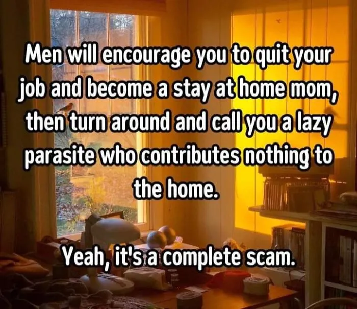 Meme from Fight The Patriarchy page highlighting contradictory attitudes toward stay-at-home moms and gender roles.