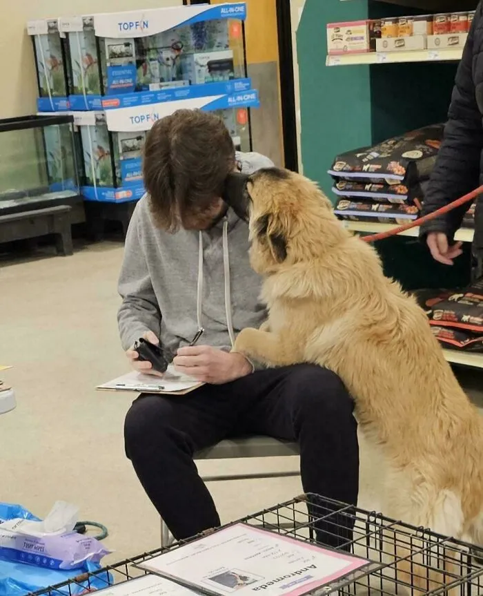 Adoption Day