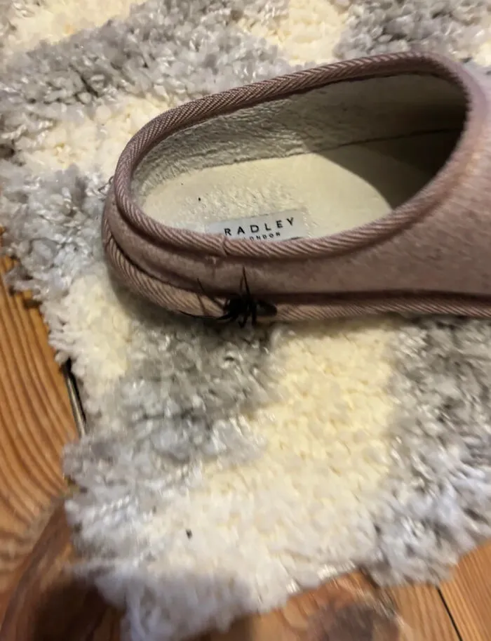 Zapatilla marrón con una araña negra grande caminando cerca en alfombra gris y beige, recordando que puede empeorar.