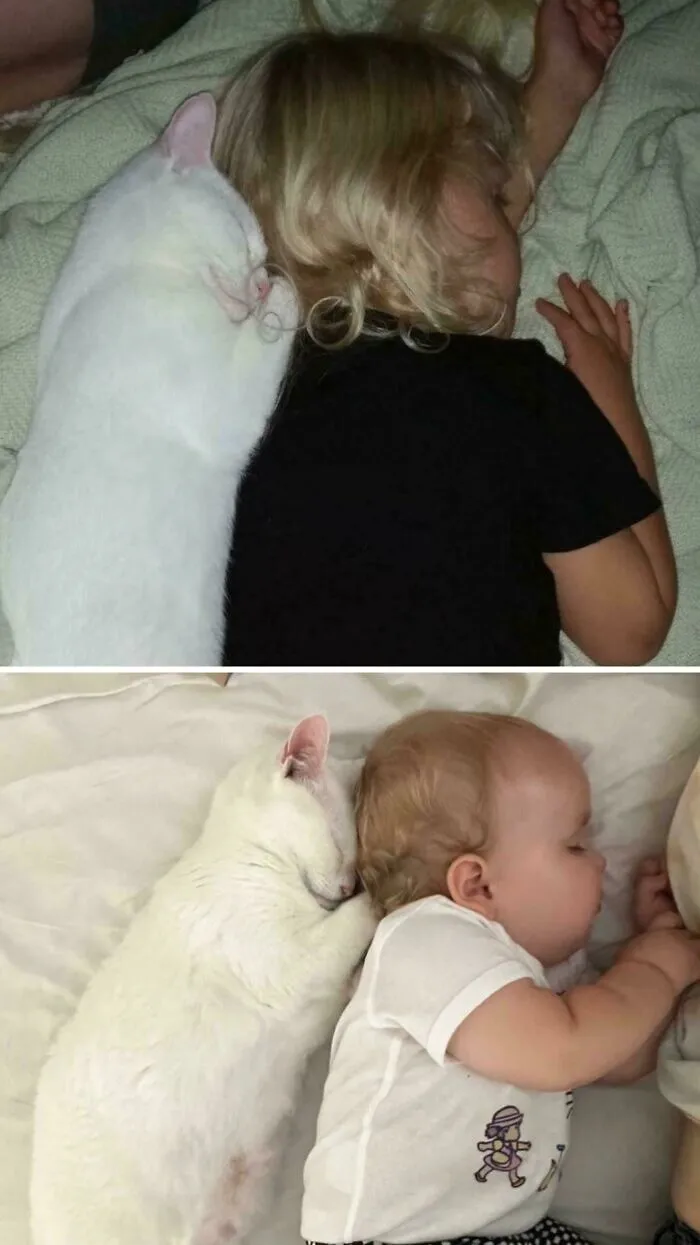 Same Cat, Second Baby Ten Years Later