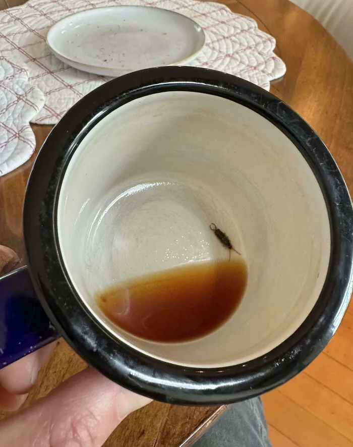Nada para despertarse como una taza de café