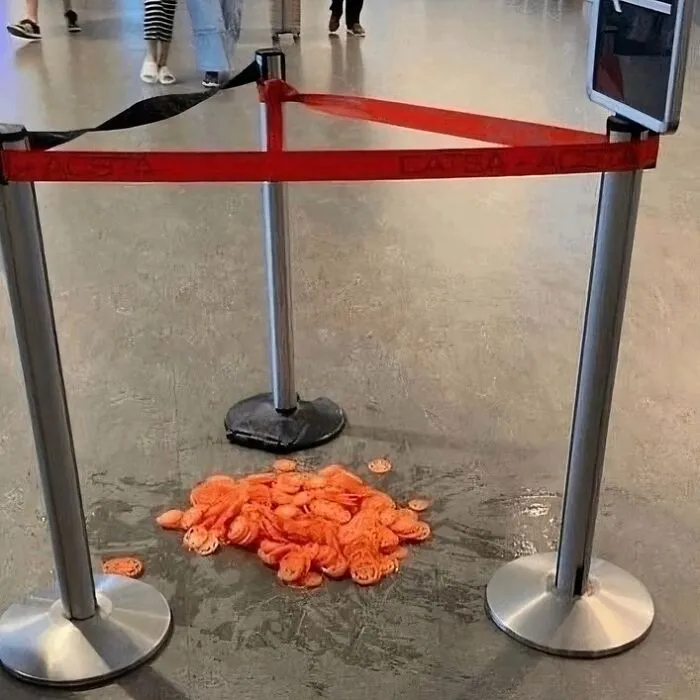 Random-Daily-Cursed-Images
