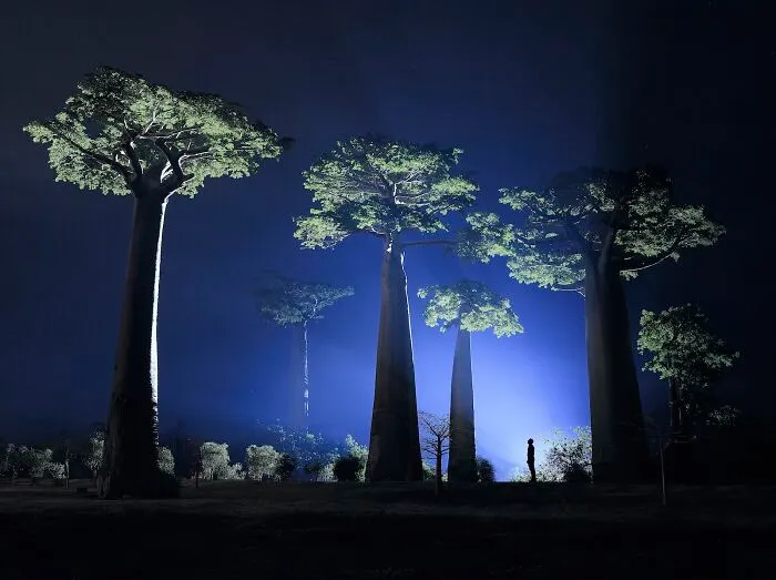 Highly Honored, Outdoor Adventure: Night With The Ancients By Paul Zizka Of Banff, Alberta, Canada