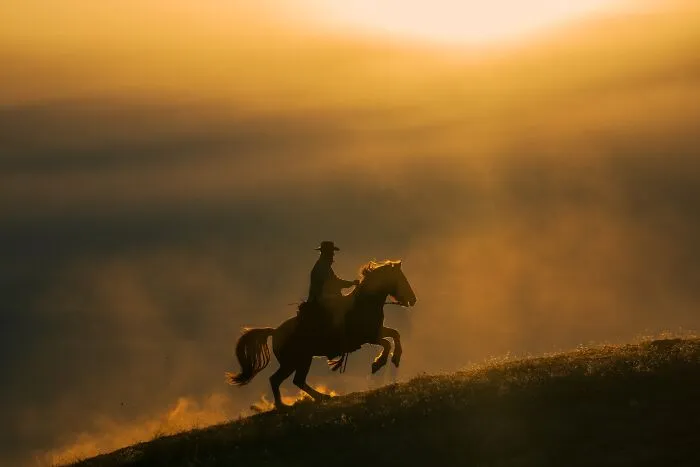 Highly Honored, Outdoor Adventure: Cowboy Riding In The Snow By David Swindler Of Kanab, Utah, USA