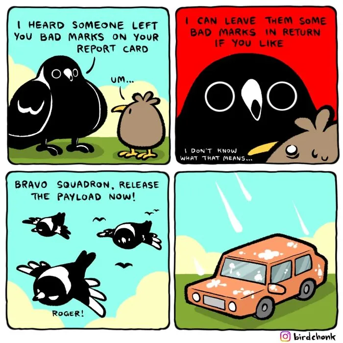 20 New Bird Comics That Find Humor And Absurdity In Little Daily Things, By This Artist