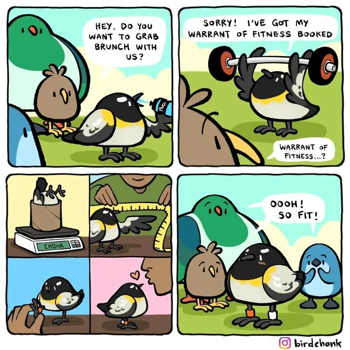 20 New Bird Comics That Find Humor And Absurdity In Little Daily Things, By This Artist