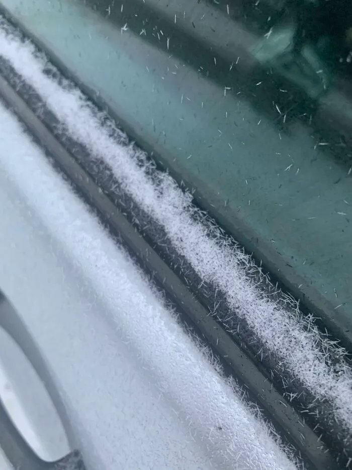 It Was Snowing. But Instead Of Snowflakes There Were Snowsticks