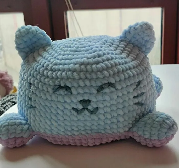Moody Cat