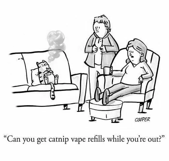 Artist Behind “The New Yorker” Cartoons Shares 50 Clever Takes On Daily Life