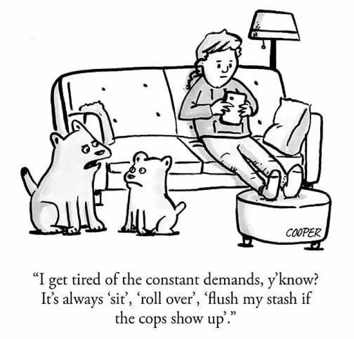 Artist Behind “The New Yorker” Cartoons Shares 50 Clever Takes On Daily Life