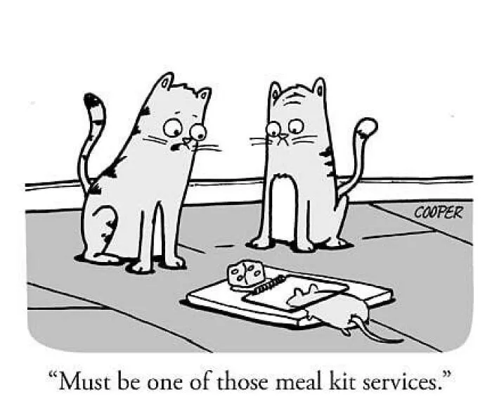 Artist Behind “The New Yorker” Cartoons Shares 50 Clever Takes On Daily Life