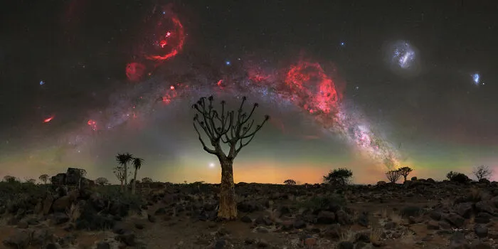 Open Nature/Landscape: "Quiver Tree Under The Red Flame Of Orion" By Egor Goryachev, Germany