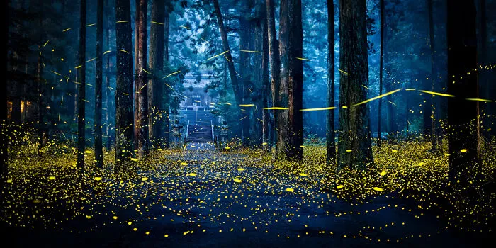 Open Built Environment/Architecture: "Dancing Fireflies" By Shirley Wung, Taiwan