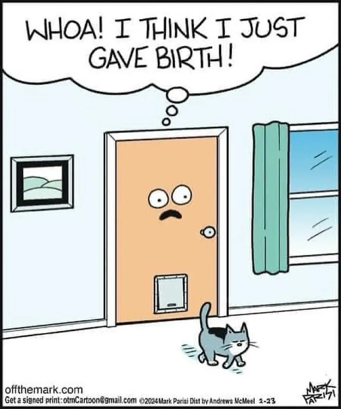 The 30 Best Cartoons By Mark Parisi That Turn Everyday Moments Into Comedy Gold