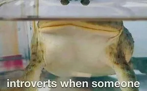 50 Hilarious Memes For Anyone Who Needs A Laugh Today