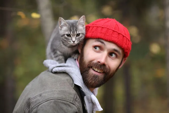 40 Tales Of Cats Being Absolute Hooligans, As Shared By Netizens