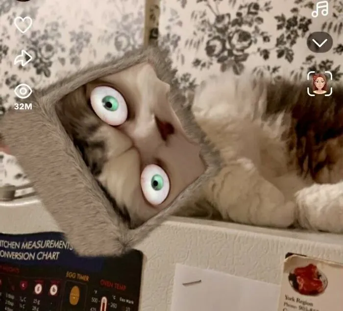 Pop-Eye  Squarehead