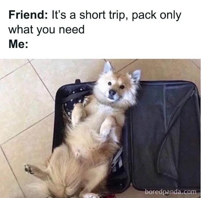 50 Truthful Memes About What It’s Like To Have A Dog