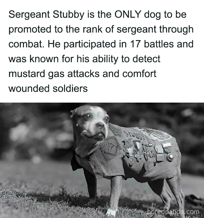 50 Adorable And Wholesome Posts To Brighten Your Feed, Courtesy Of This IG Page