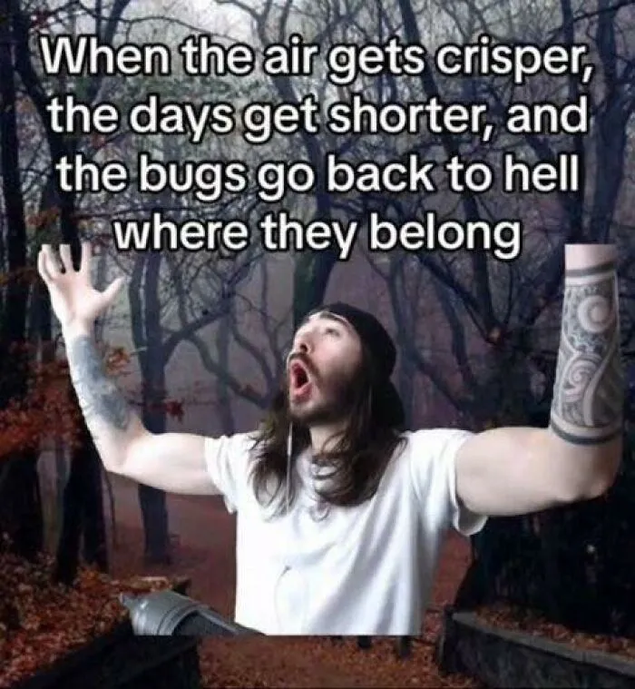 50 Hilarious Memes For Anyone Who Needs A Laugh Today