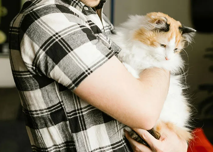 “Blow On Their Nose”: People Have Firsthand Experience That These 45 Cat Hacks Work