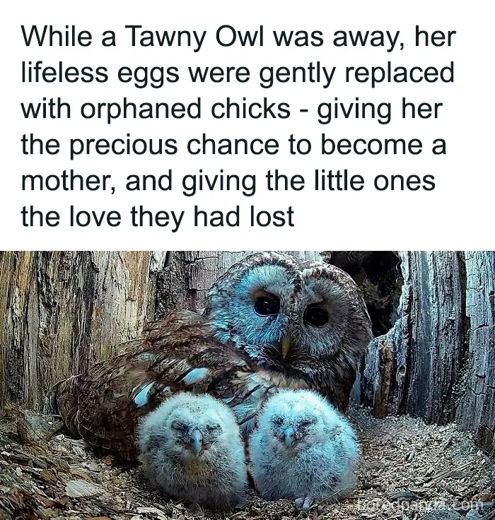 50 Adorable And Wholesome Posts To Brighten Your Feed, Courtesy Of This IG Page