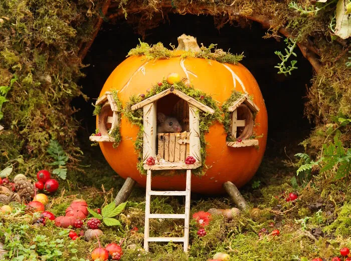 The Pumpkin Mouse House Is So Very Spooky
