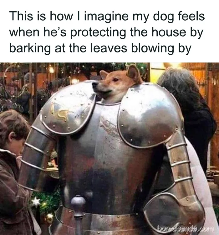 50 Truthful Memes About What It’s Like To Have A Dog